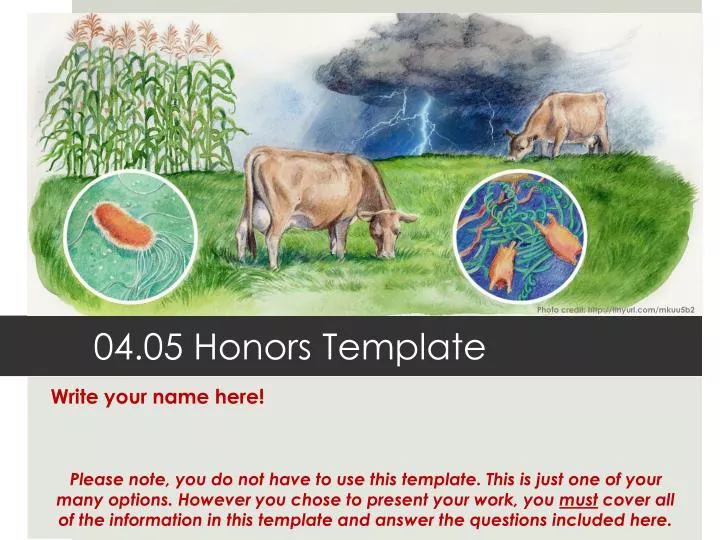 04 05 honors template