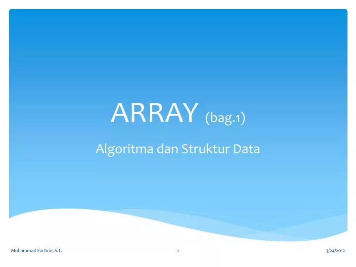 array bag 1