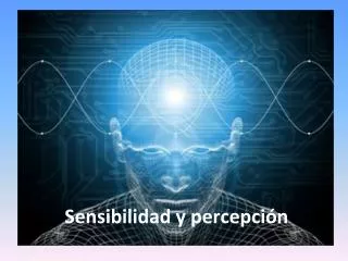 sensibilidad y percepci n