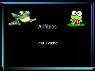 anf bios