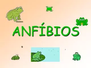 anf bios