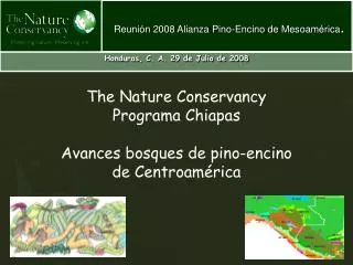 The Nature Conservancy Programa Chiapas Avances bosques de pino-encino de Centroamérica