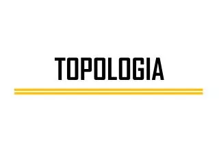topologia