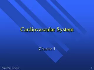 Cardiovascular System