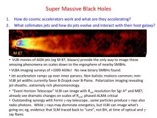 Super Massive Black Holes