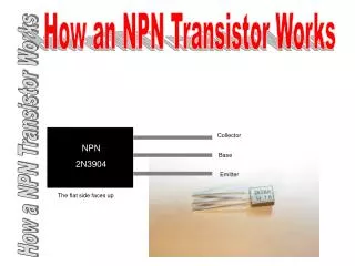 How an NPN Transistor Works