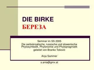 die birke