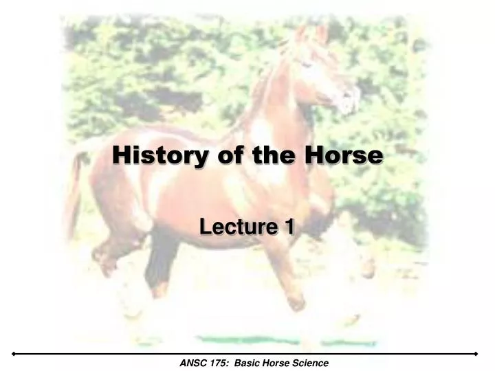 history of the horse