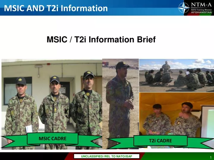 msic and t2i information