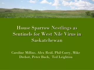 House Sparrow Nestlings as Sentinels for West Nile Virus in Saskatchewan