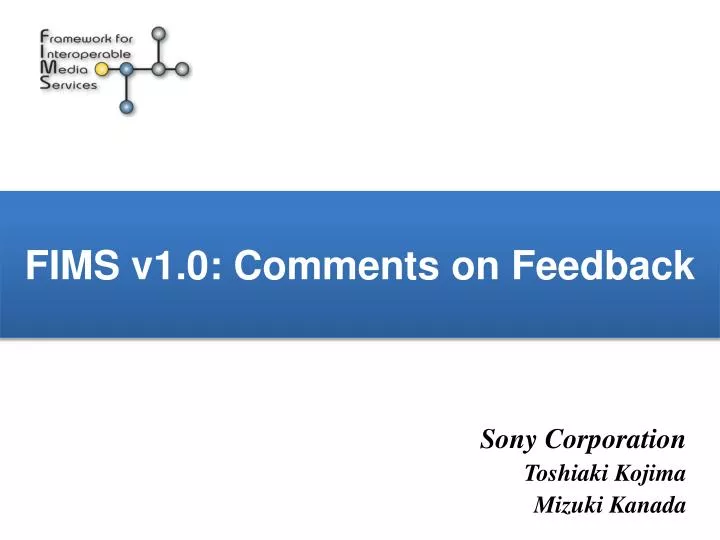 fims v1 0 comments on feedback