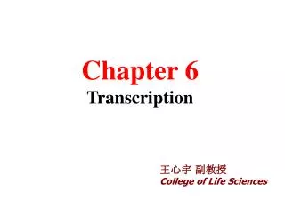 Chapter 6 Transcription