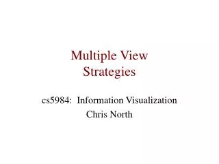 Multiple View Strategies