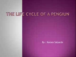 The Life Cycle of A Pengiun