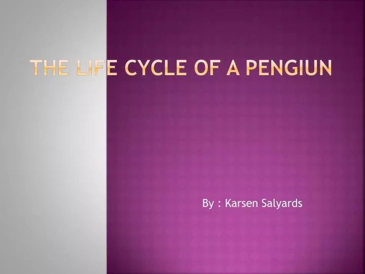 the life cycle of a pengiun