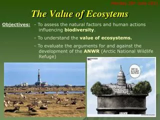 The Value of Ecosytems