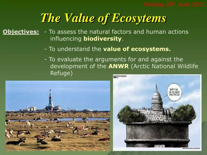 the value of ecosytems