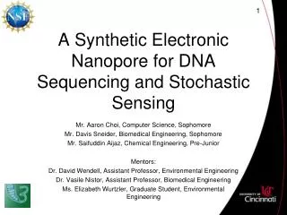 A Synthetic Electronic Nanopore for DNA Sequencing and Stochastic Sensing
