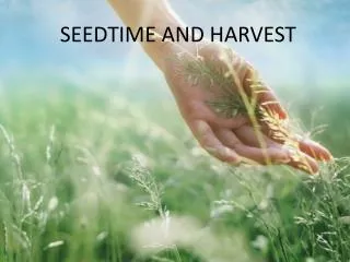 SEEDTIME AND HARVEST