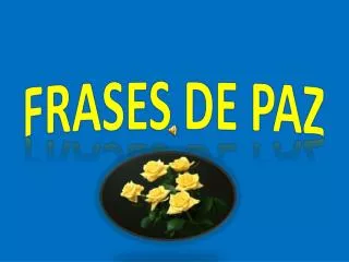 frases de paz