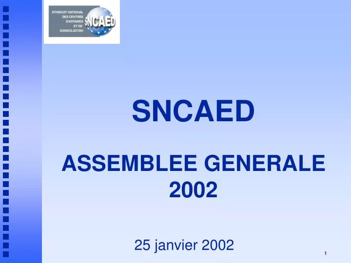 sncaed assemblee generale 2002