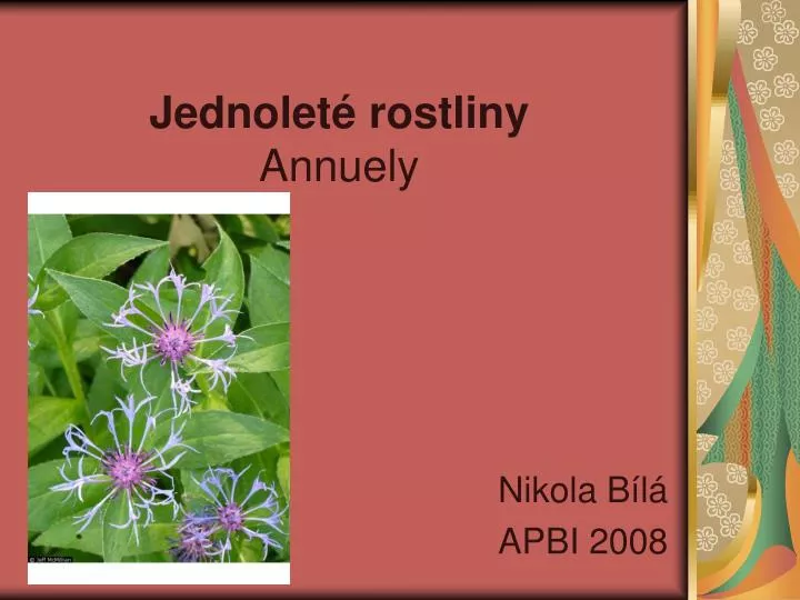 jednolet rostliny annuely