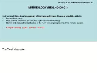 Anatomy of the Immune system Lecture #7 IMMUNOLOGY (BIOL 40400-01)