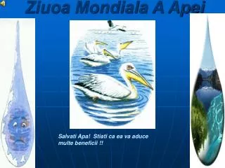 ziuoa mondiala a apei
