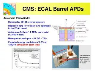 CMS: ECAL Barrel APDs