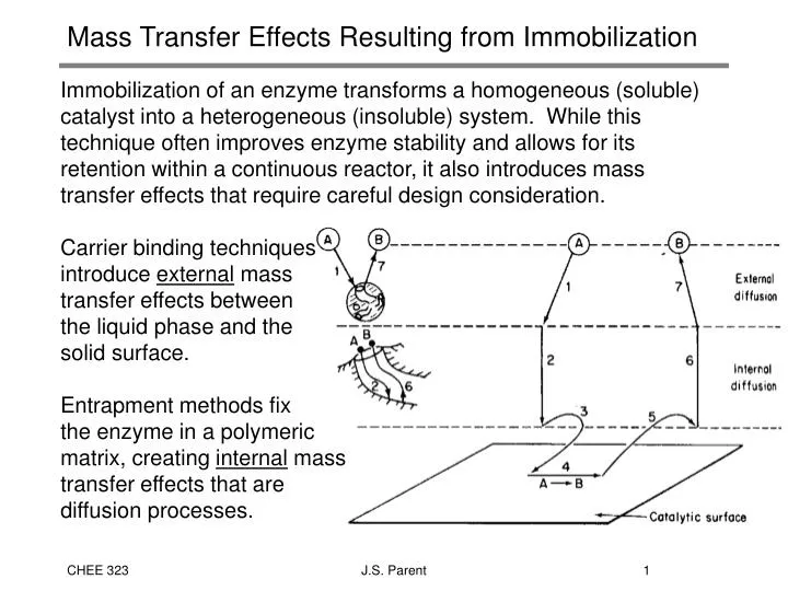 mass transfer effects resulting from immobilization