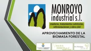 aprovechamiento de la biomasa forestal