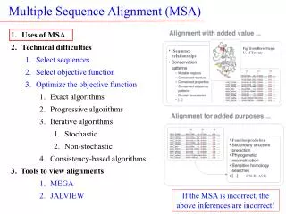 Multiple Sequence Alignment (MSA)