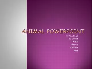 Animal Powerpoint