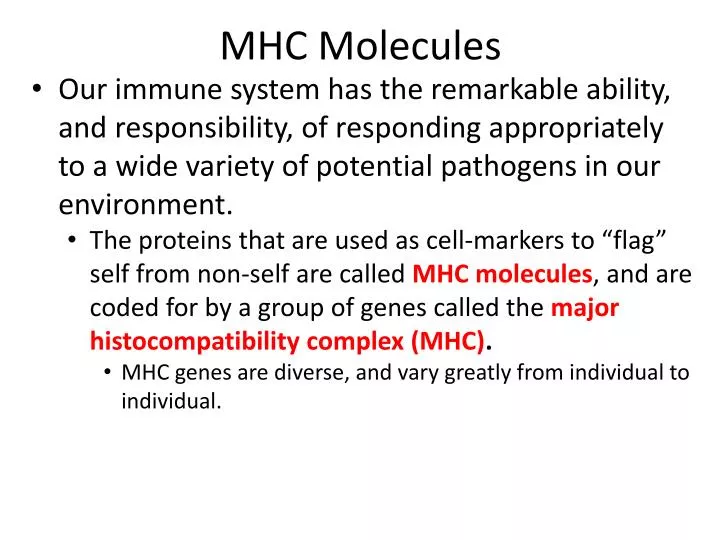 mhc molecules