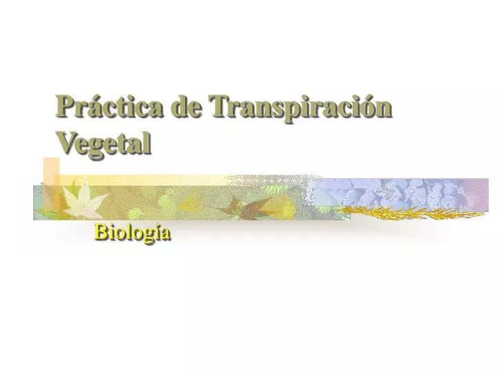 pr ctica de transpiraci n vegetal