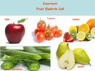 Experiment Fruit Elektrik Cell