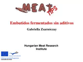 hungarian meat research institute