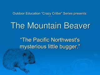 The Mountain Beaver