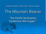 The Mountain Beaver - slide 1