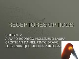 receptores opticos