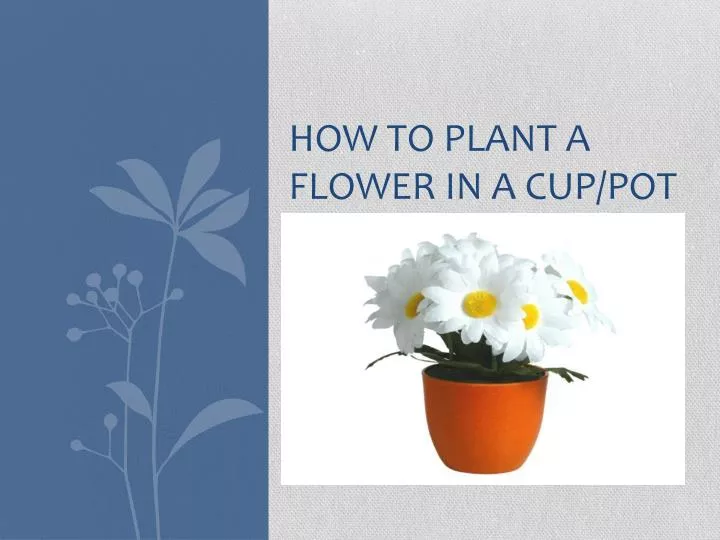 how to plant a flower in a cup pot
