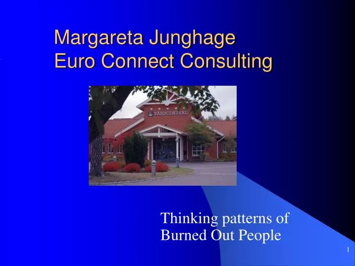 margareta junghage euro connect consulting