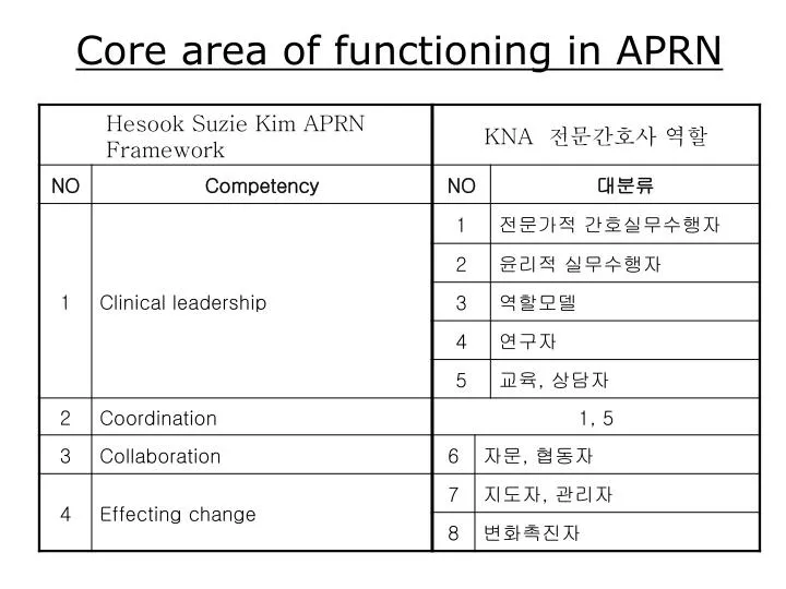 core area of functioning in aprn