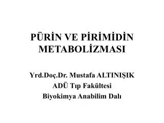 p r n ve p r m d n metabol zmasi