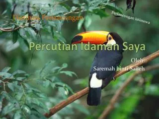 percutian idaman saya