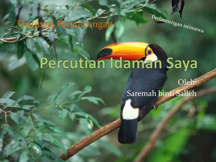 percutian idaman saya