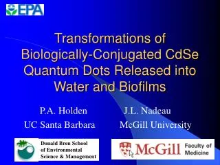 Transformations of Biologically-Conjugated CdSe Quantum Dots Released into Water and Biofilms