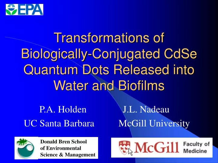 transformations of biologically conjugated cdse quantum dots released into water and biofilms
