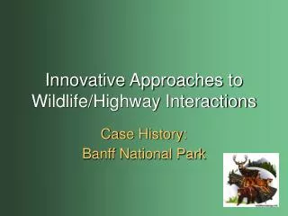 Innovative Approaches to Wildlife/Highway Interactions