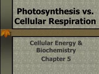photosynthesis vs cellular respiration